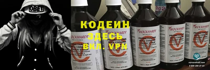 где найти   mega маркетплейс  Кодеиновый сироп Lean напиток Lean (лин)  darknet клад  Мирный 